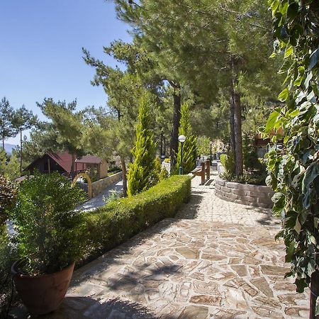 Ricky Chalet Near Troodos Spilia Exterior foto