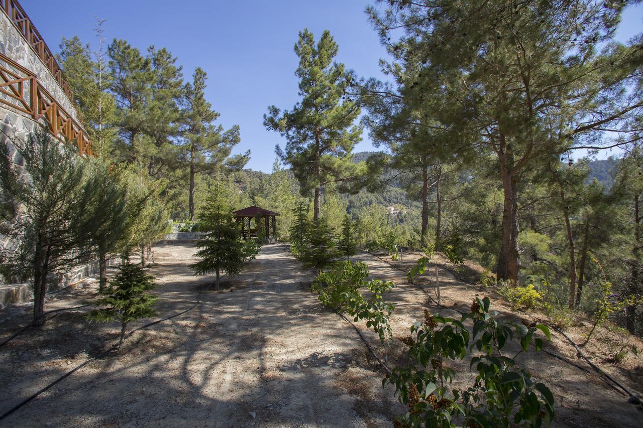 Ricky Chalet Near Troodos Spilia Exterior foto
