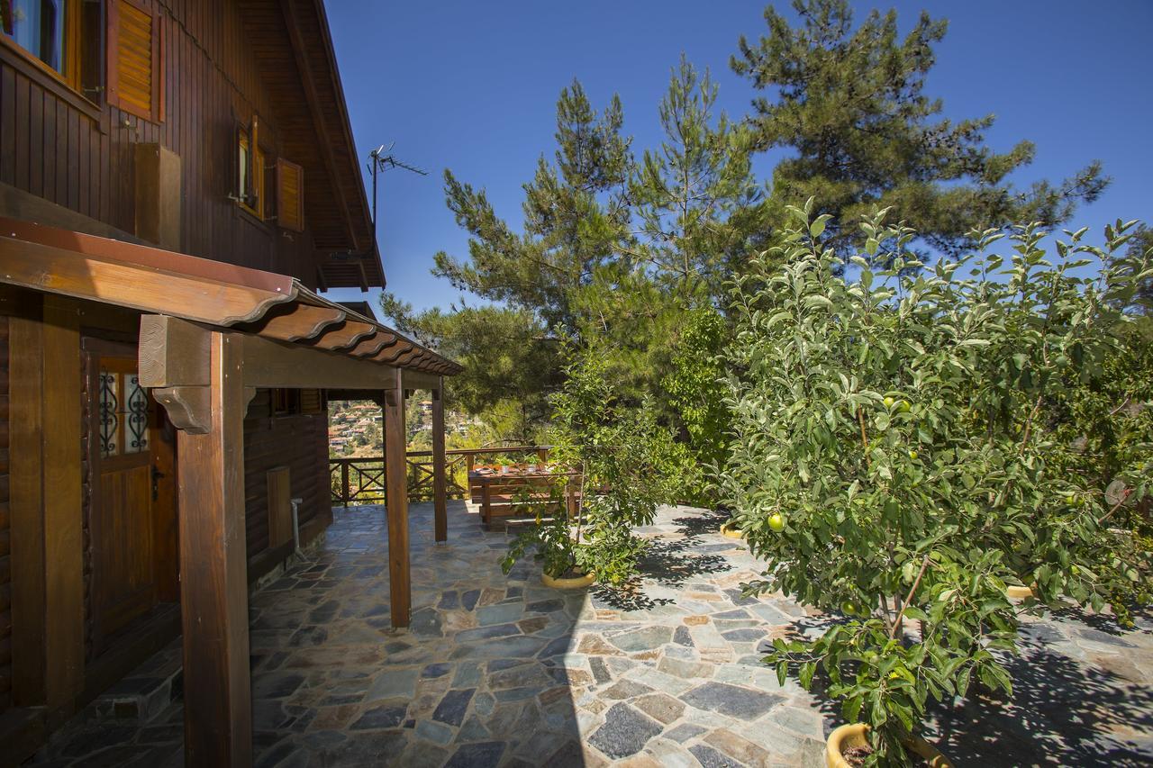 Ricky Chalet Near Troodos Spilia Exterior foto