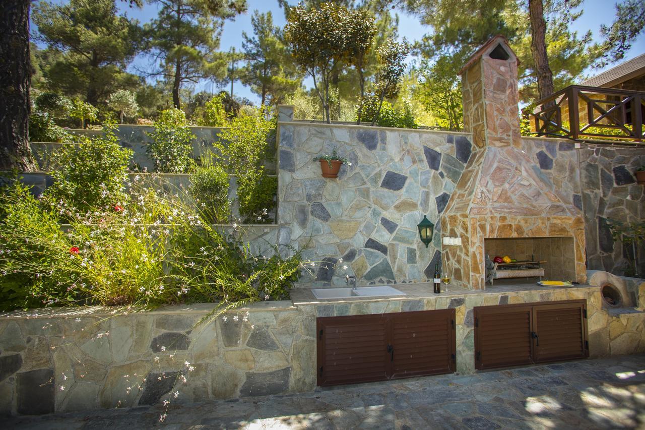Ricky Chalet Near Troodos Spilia Exterior foto