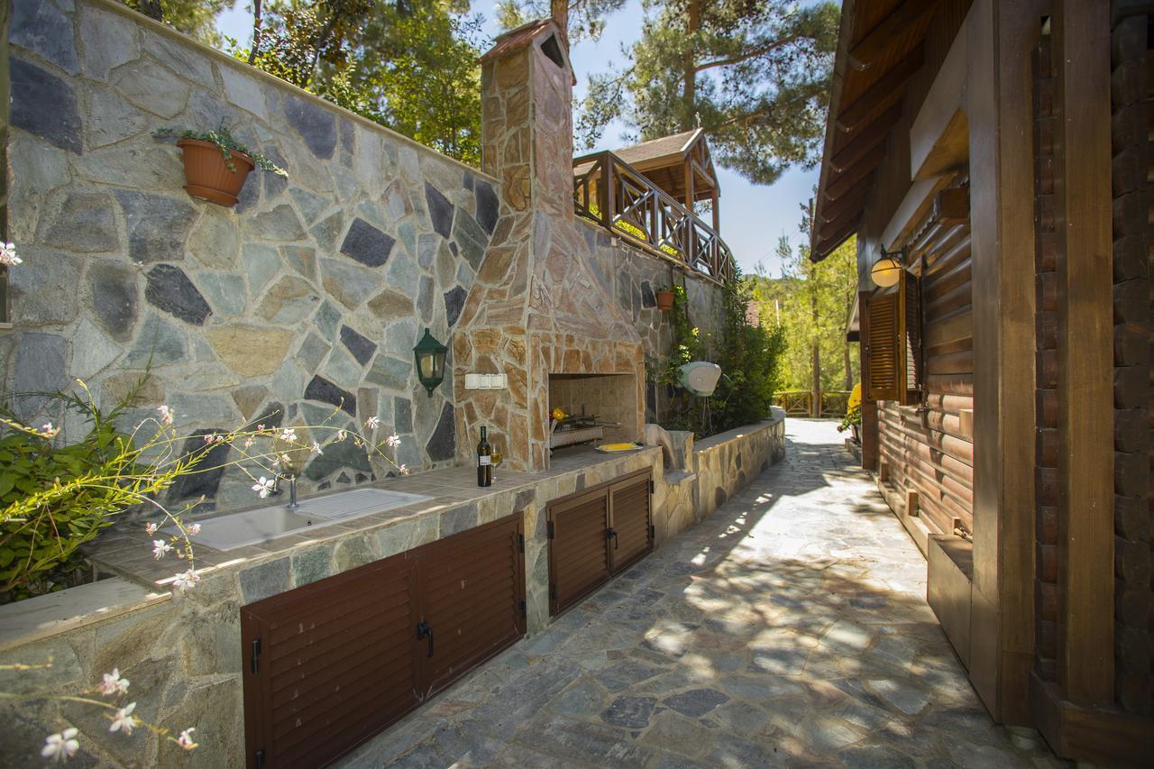 Ricky Chalet Near Troodos Spilia Exterior foto